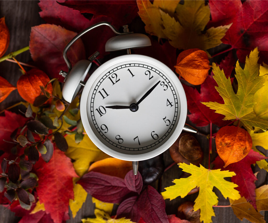 A clock on leaves representing the clocks changing